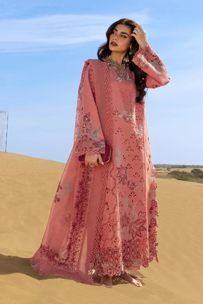 RANG RASIYA PREMIUM COLLECTION AMANI