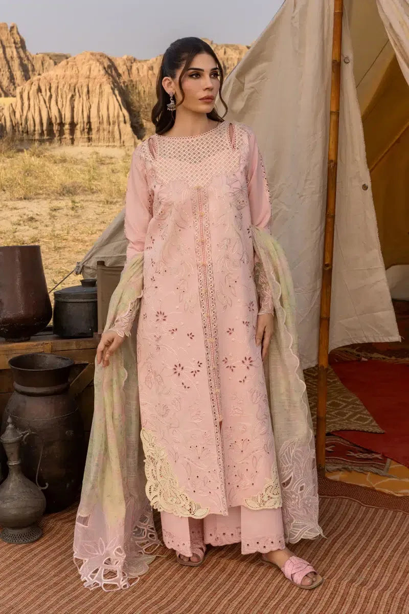 RANG RASIYA PREMIUM D-01