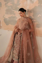 AYZEL SOLARIS ROSARA
