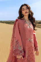 RANG RASIYA PREMIUM COLLECTION AMANI