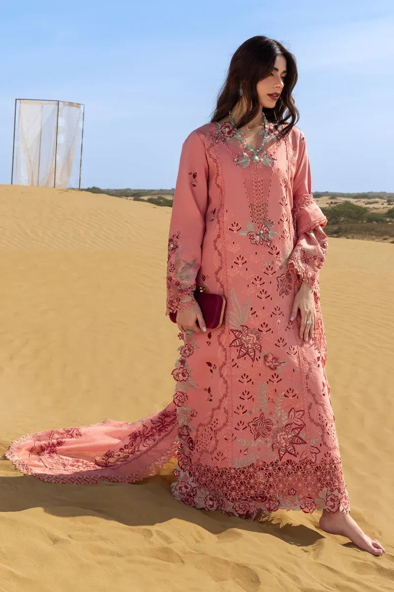 RANG RASIYA PREMIUM COLLECTION AMANI