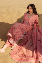 RANG RASIYA PREMIUM COLLECTION AMANI