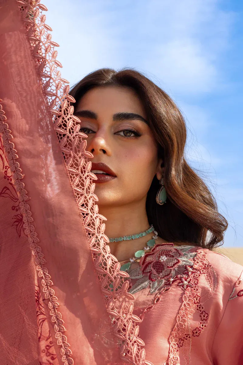 RANG RASIYA PREMIUM COLLECTION AMANI