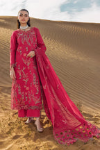 RANG RASIYA PREMIUM COLLECTION SAFA