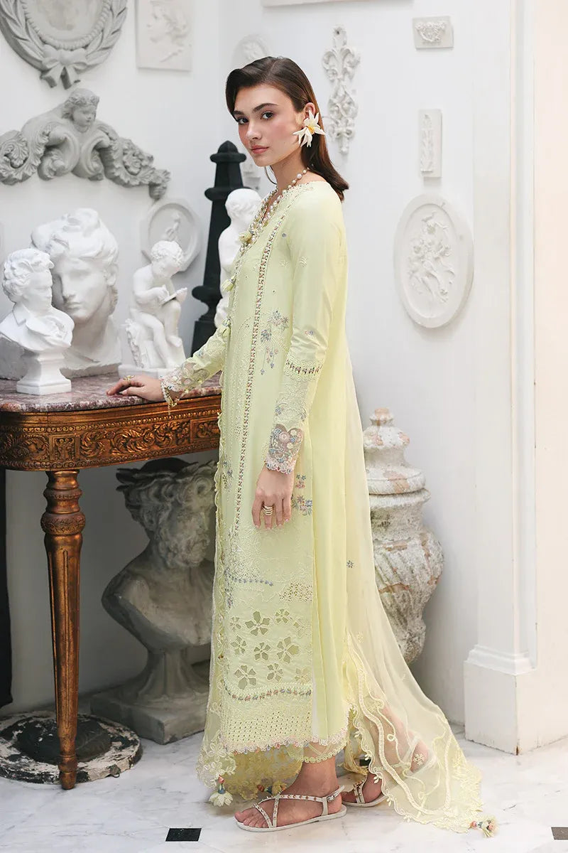 QALAMKAR QLINE LAWN RP-13
