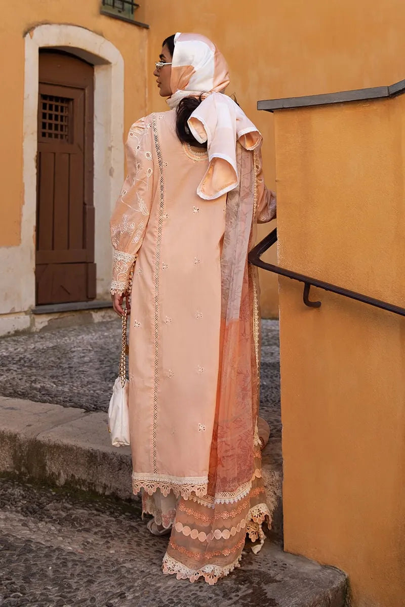 ANSAB JAHANGIR ZOHA ALLURING APRICOT