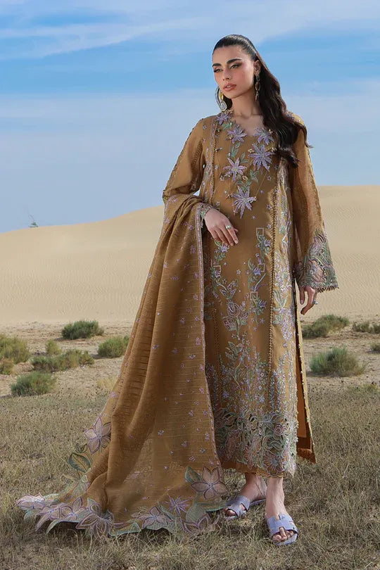 STITCHED BY CC MINAAL RANG RASIYA 3PC