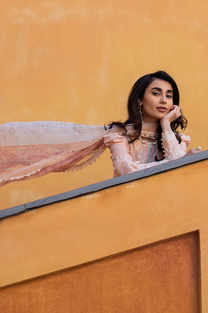 ANSAB JAHANGIR ZOHA ALLURING APRICOT