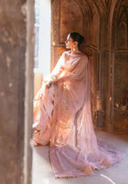 ZARQASH MEHAR