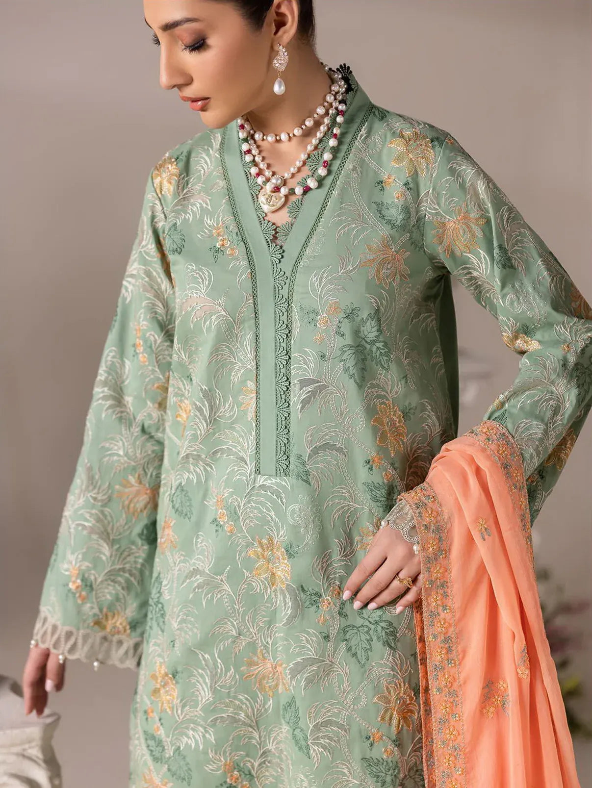 RAJBARI EXCLUSIVE EMBROIDERED CHIFFON D-06