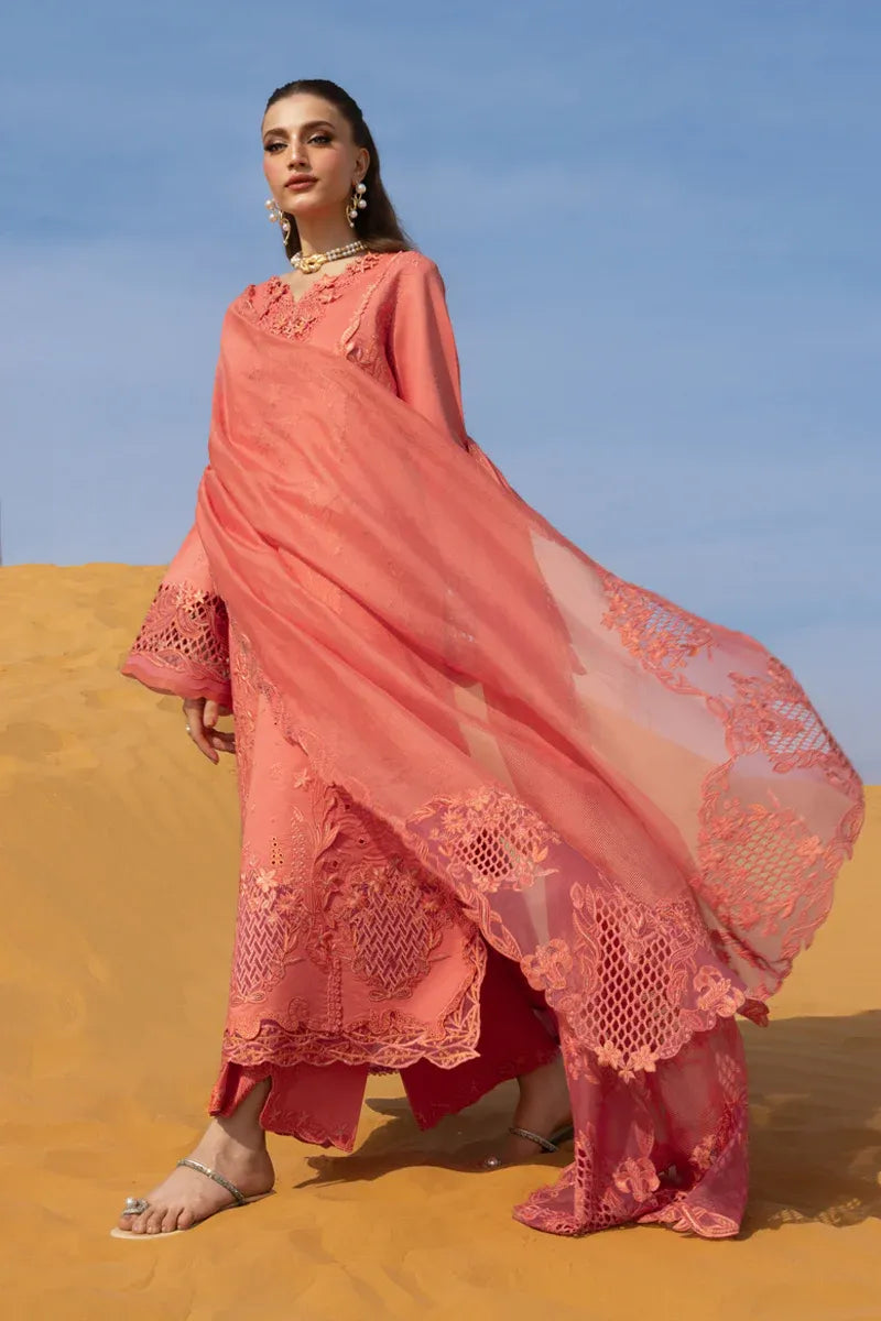 RANG RASIYA PREMIUM COLLECTION ELNAZ