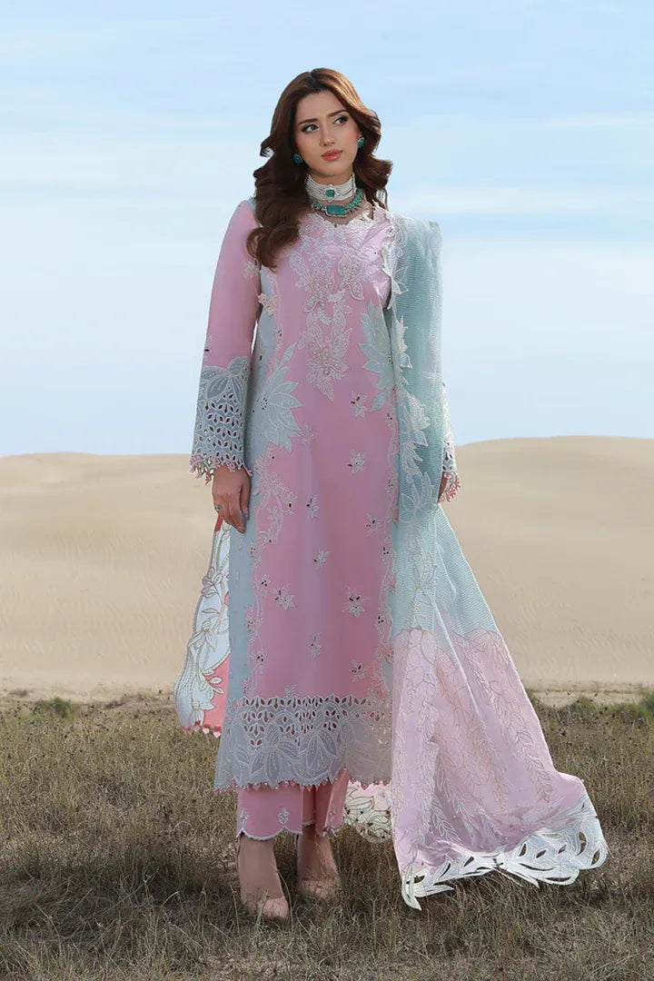 RANG RASIYA PREMIUM COLLECTION MAHSA