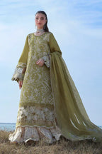 RANG RASIYA PREMIUM COLLECTION ZARIAH