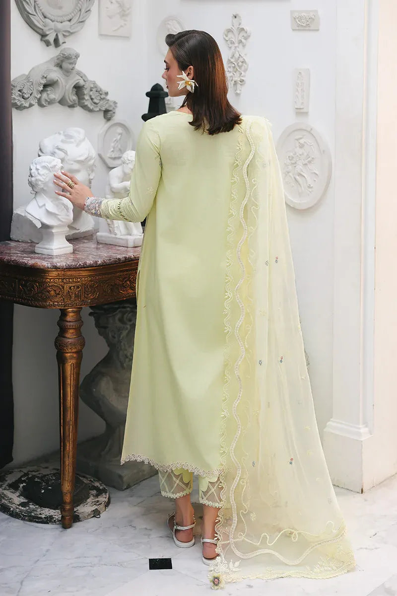 QALAMKAR QLINE LAWN RP-13