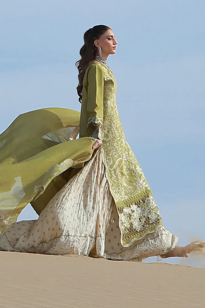 RANG RASIYA PREMIUM COLLECTION ZARIAH