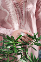 QALAMKAR QLINE LAWN RP-06