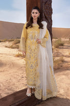RANG RASIYA PREMIUM COLLECTION HOORAIN