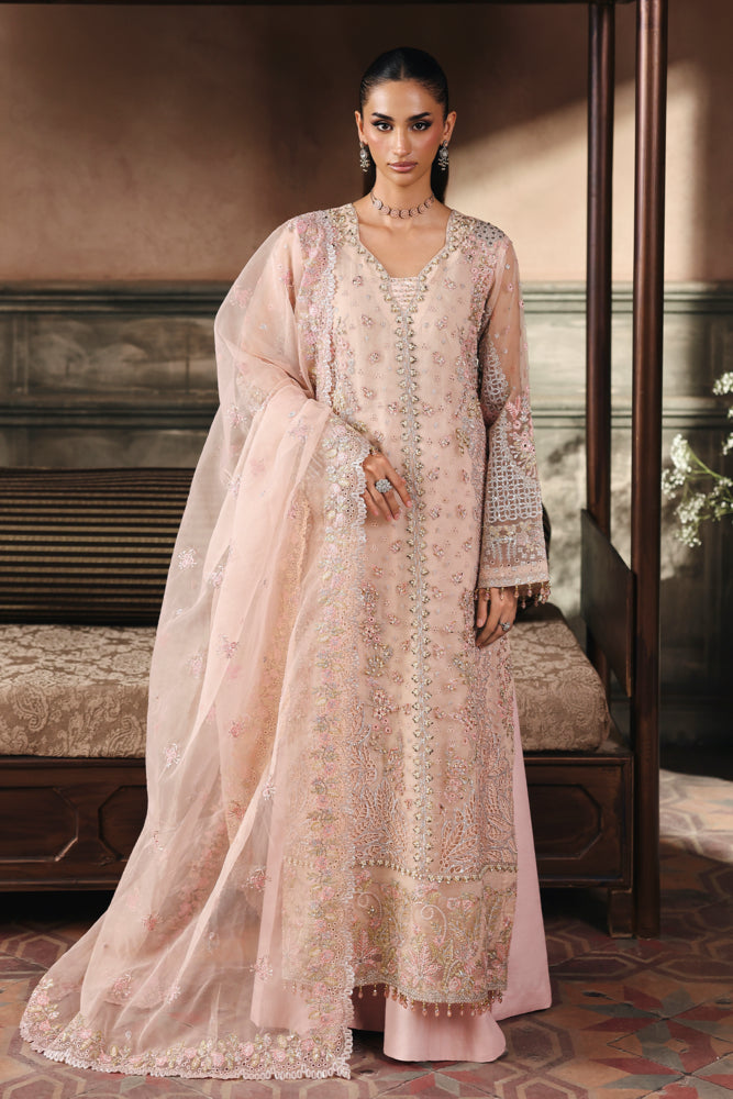 RAJBARI SAGE AMARA