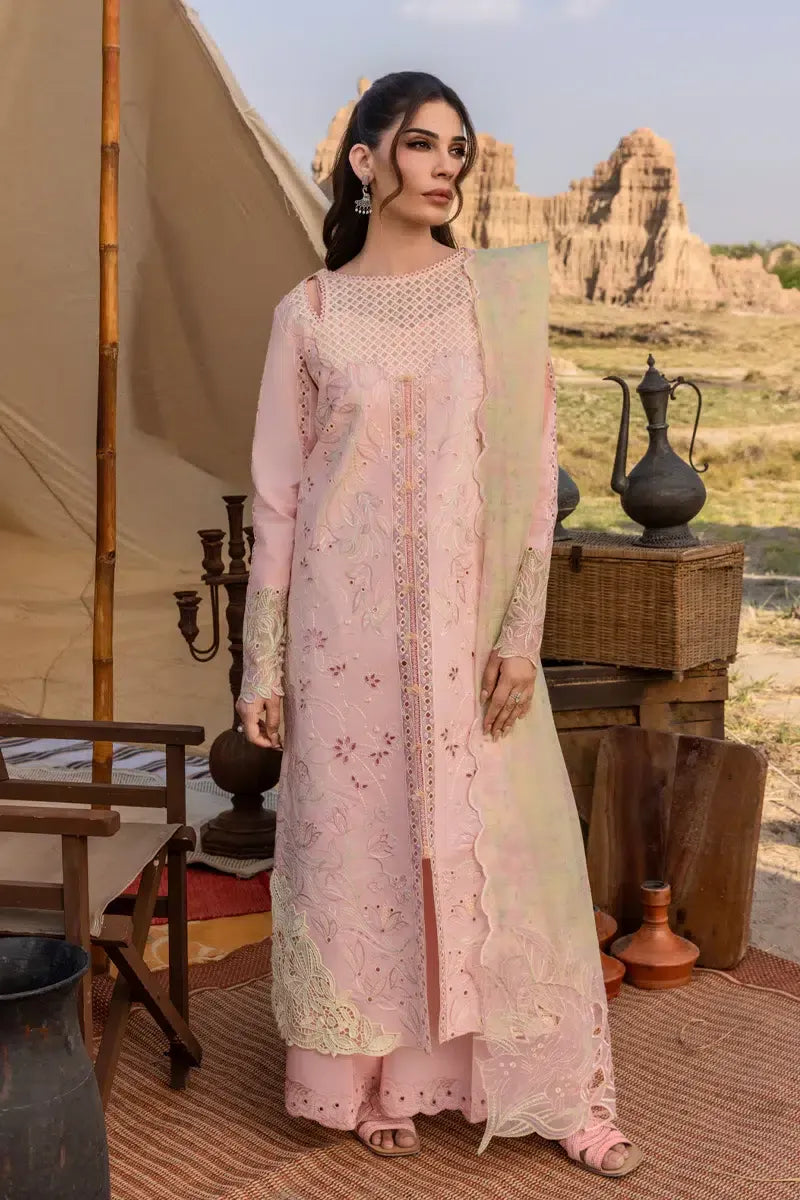 RANG RASIYA PREMIUM D-01