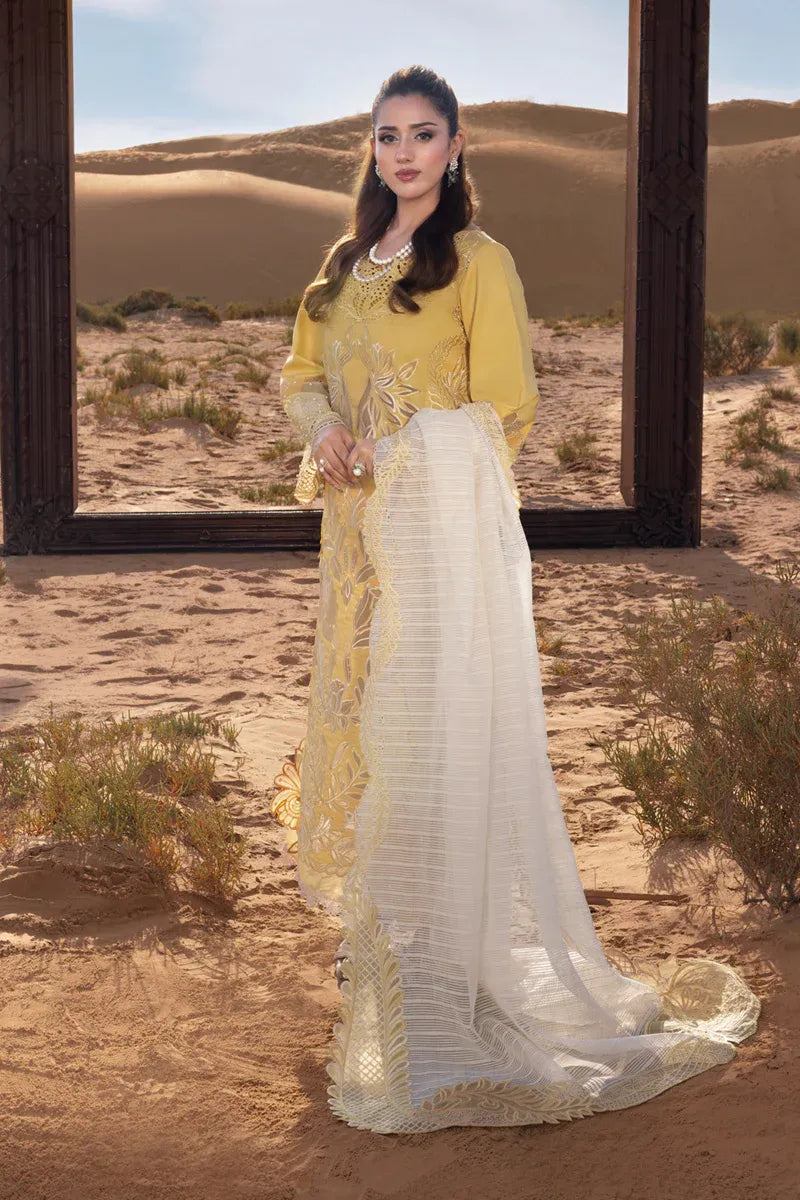 RANG RASIYA PREMIUM COLLECTION HOORAIN