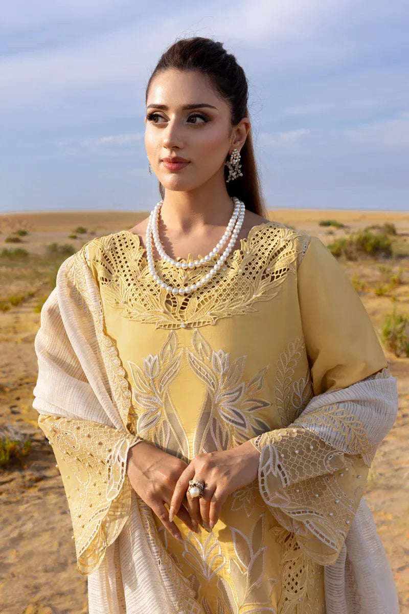 RANG RASIYA PREMIUM COLLECTION HOORAIN