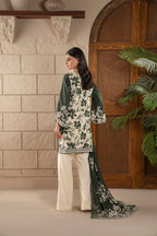 FIRDOUS D-737