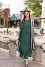 NOOR EID LUXE CHIKANKARI D-12