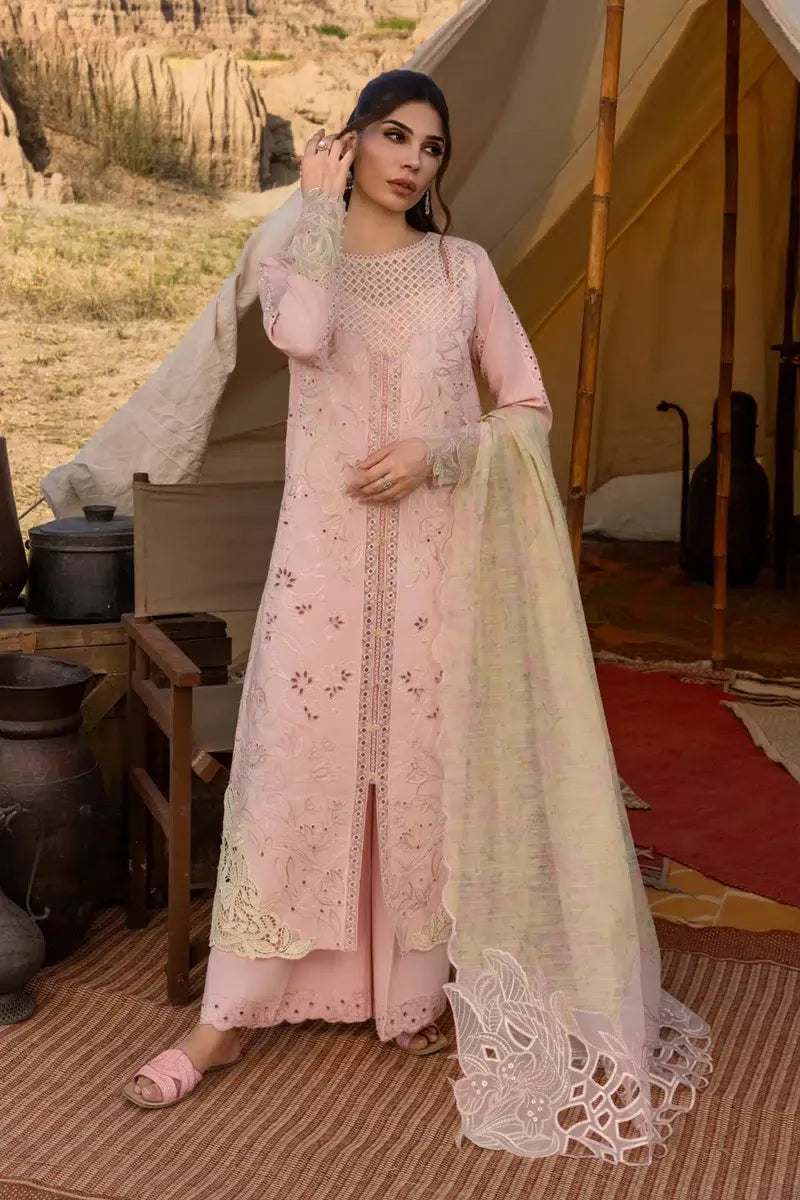 RANG RASIYA PREMIUM D-01