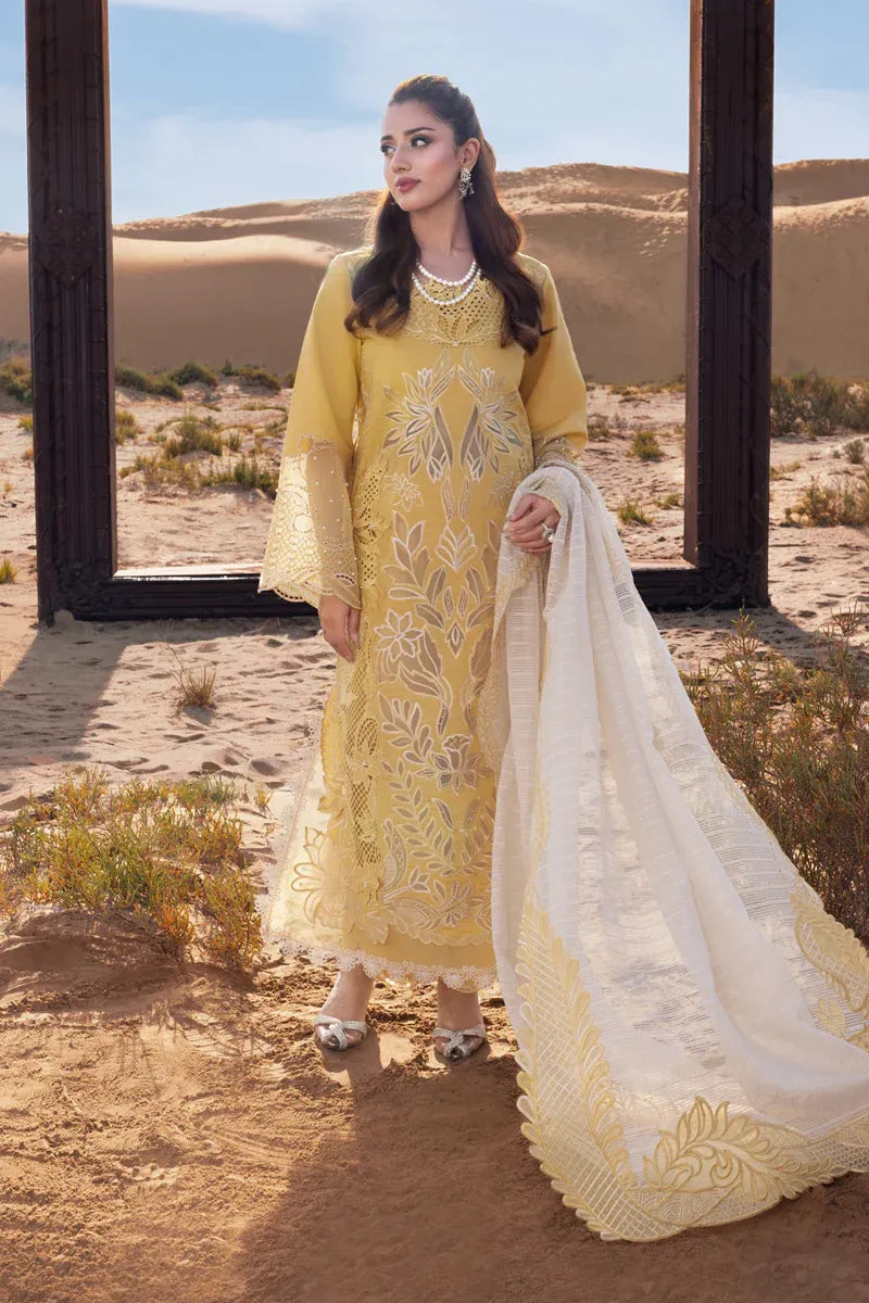RANG RASIYA PREMIUM COLLECTION HOORAIN