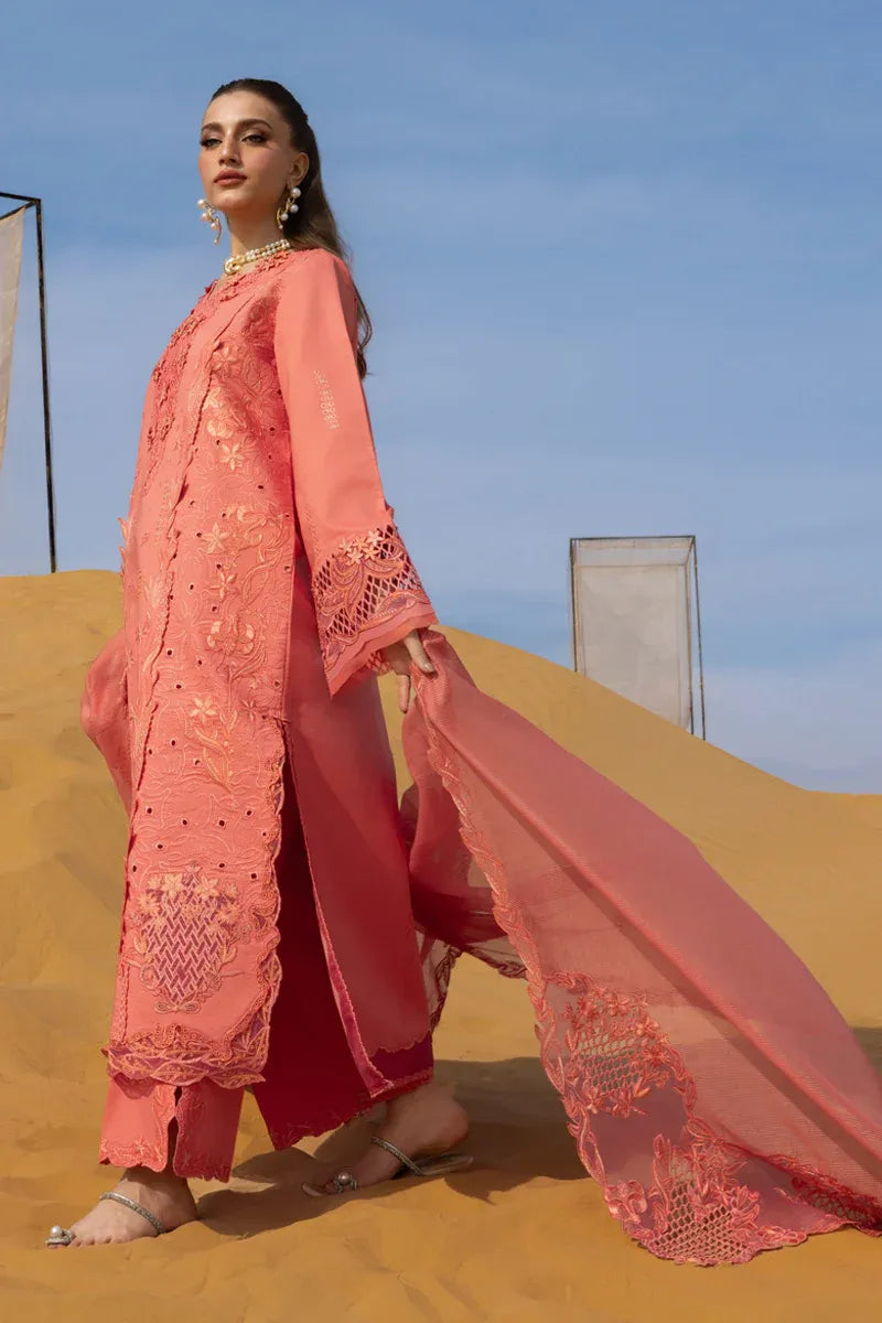 RANG RASIYA PREMIUM COLLECTION ELNAZ