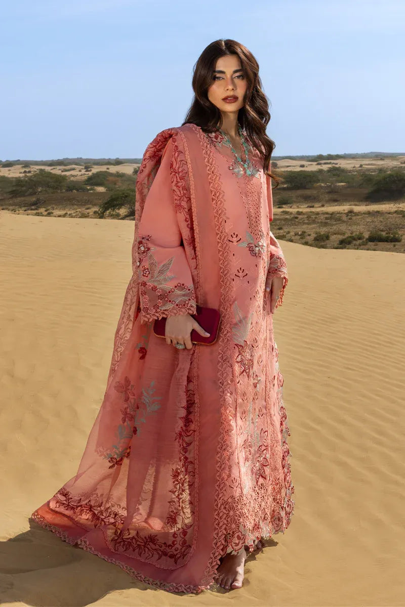 RANG RASIYA PREMIUM COLLECTION AMANI