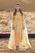 RANG RASIYA PREMIUM COLLECTION HOORAIN