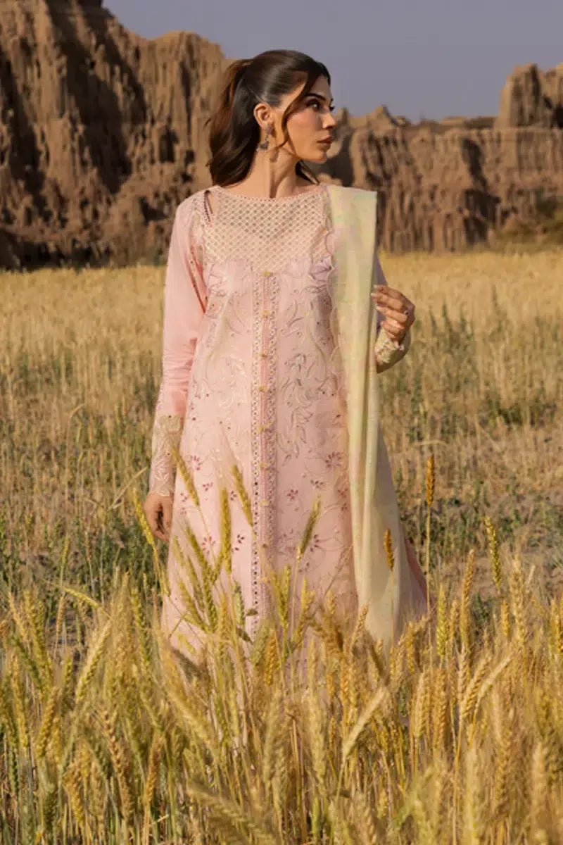 RANG RASIYA PREMIUM D-01