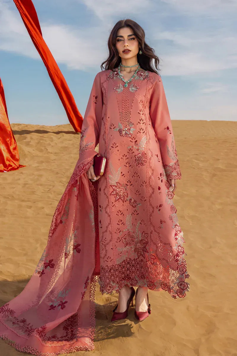RANG RASIYA PREMIUM COLLECTION AMANI