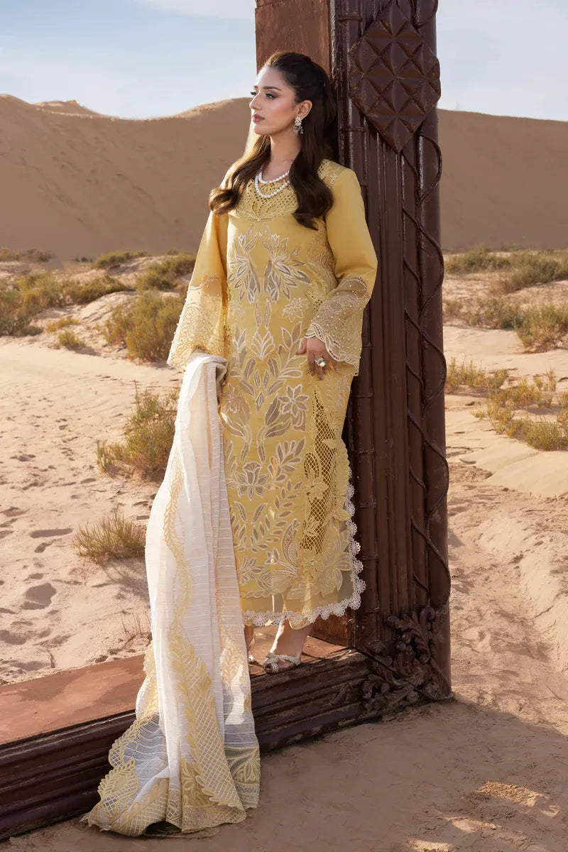 RANG RASIYA PREMIUM COLLECTION HOORAIN