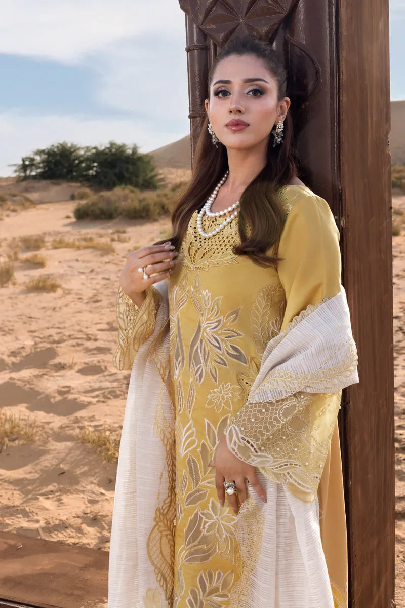 RANG RASIYA PREMIUM COLLECTION HOORAIN