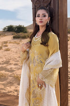 RANG RASIYA PREMIUM COLLECTION HOORAIN