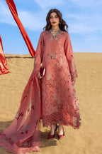 RANG RASIYA PREMIUM COLLECTION AMANI