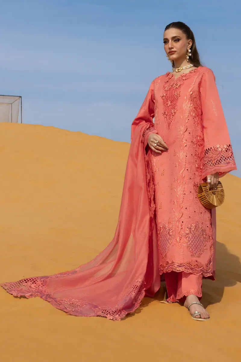RANG RASIYA PREMIUM COLLECTION ELNAZ