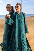 RANG RASIYA PREMIUM COLLECTION AYLEEN