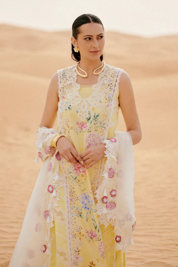 SAIRA RIZWAN LUXURY AREZOU-SRL26-04